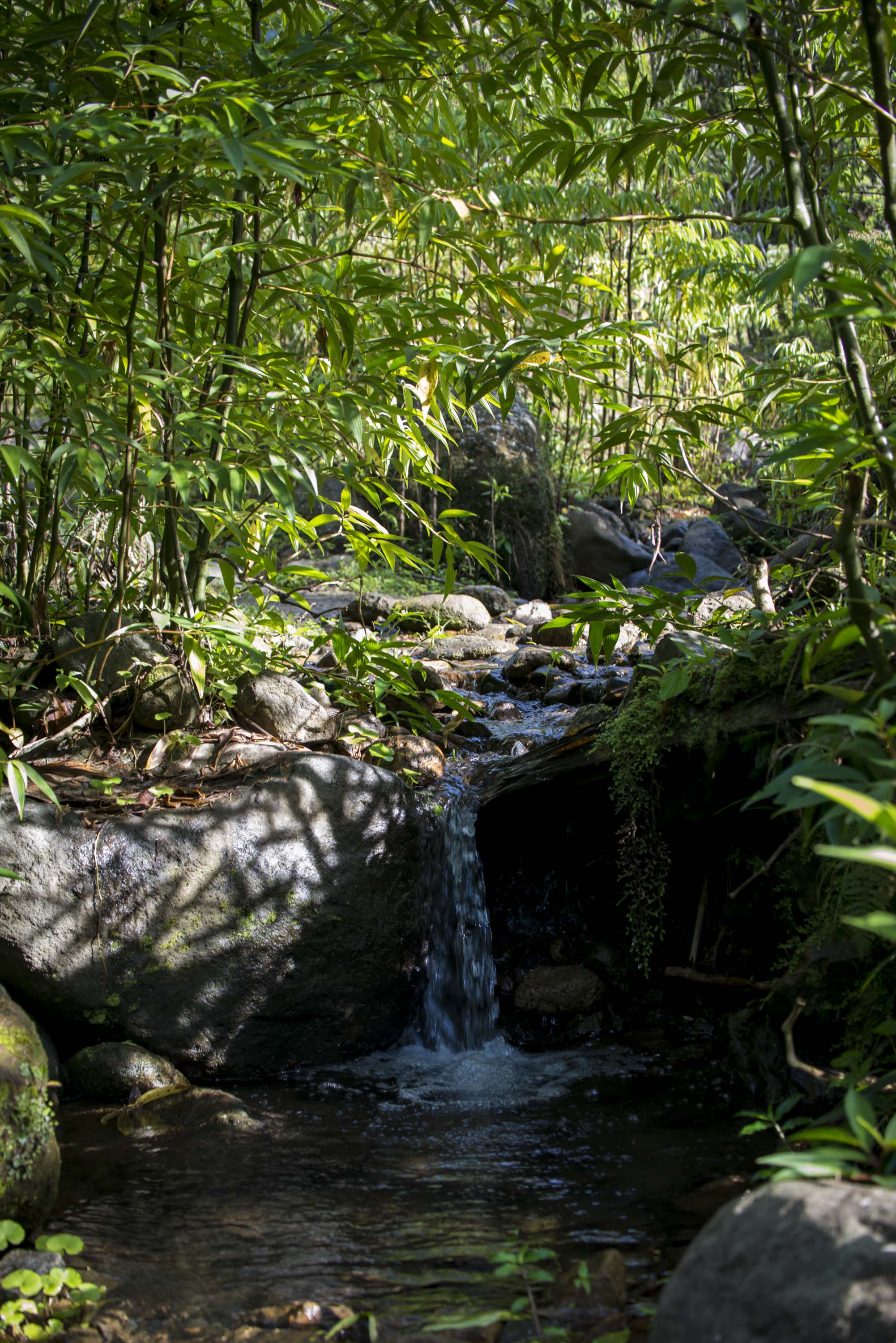 rural-tourism-experience-in-costa-rica-explornatura