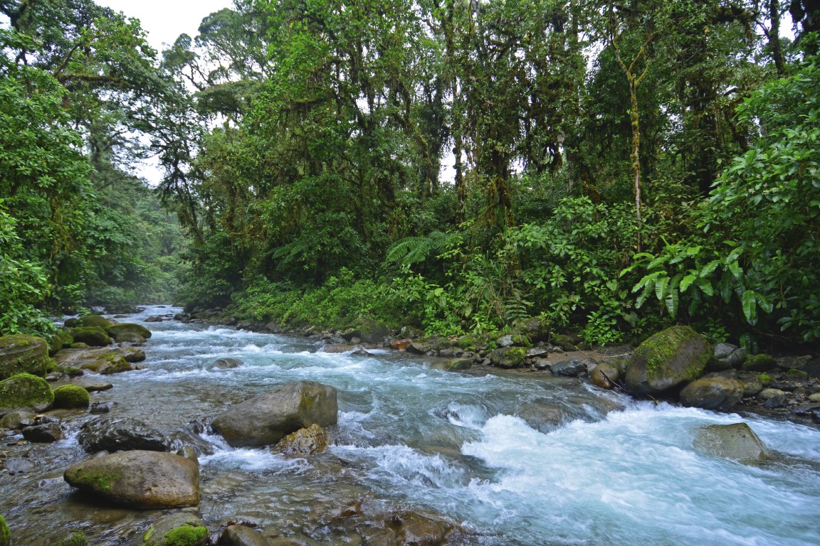 TURRIALBA VOLCANO HIKE