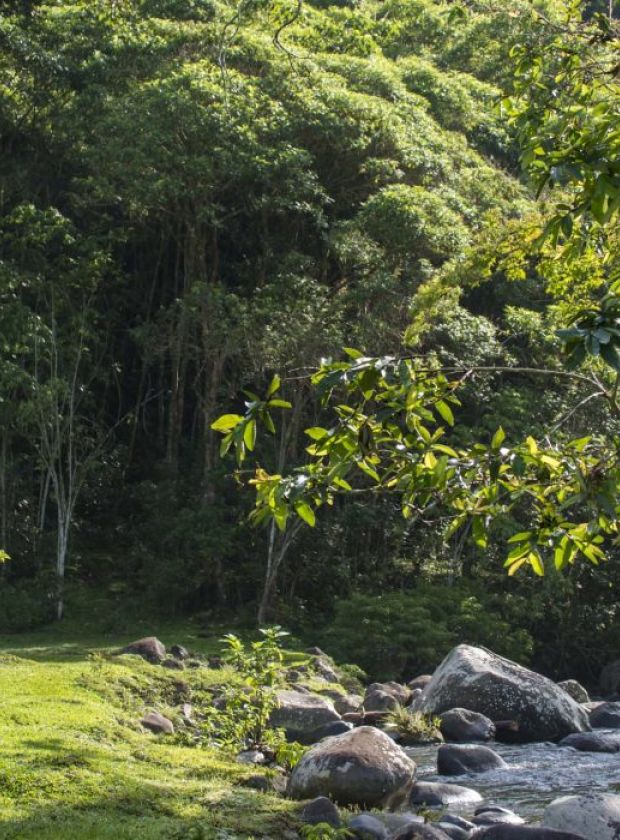 rafting-pacuare-river-tour-costa-rica-explornatura-travel-agency-excursion-costa-rica