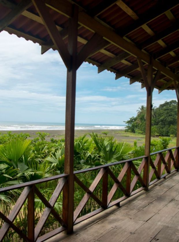 learn-spanish-and-rescue-turtles-in-turrialba-costa-rica-explornatura