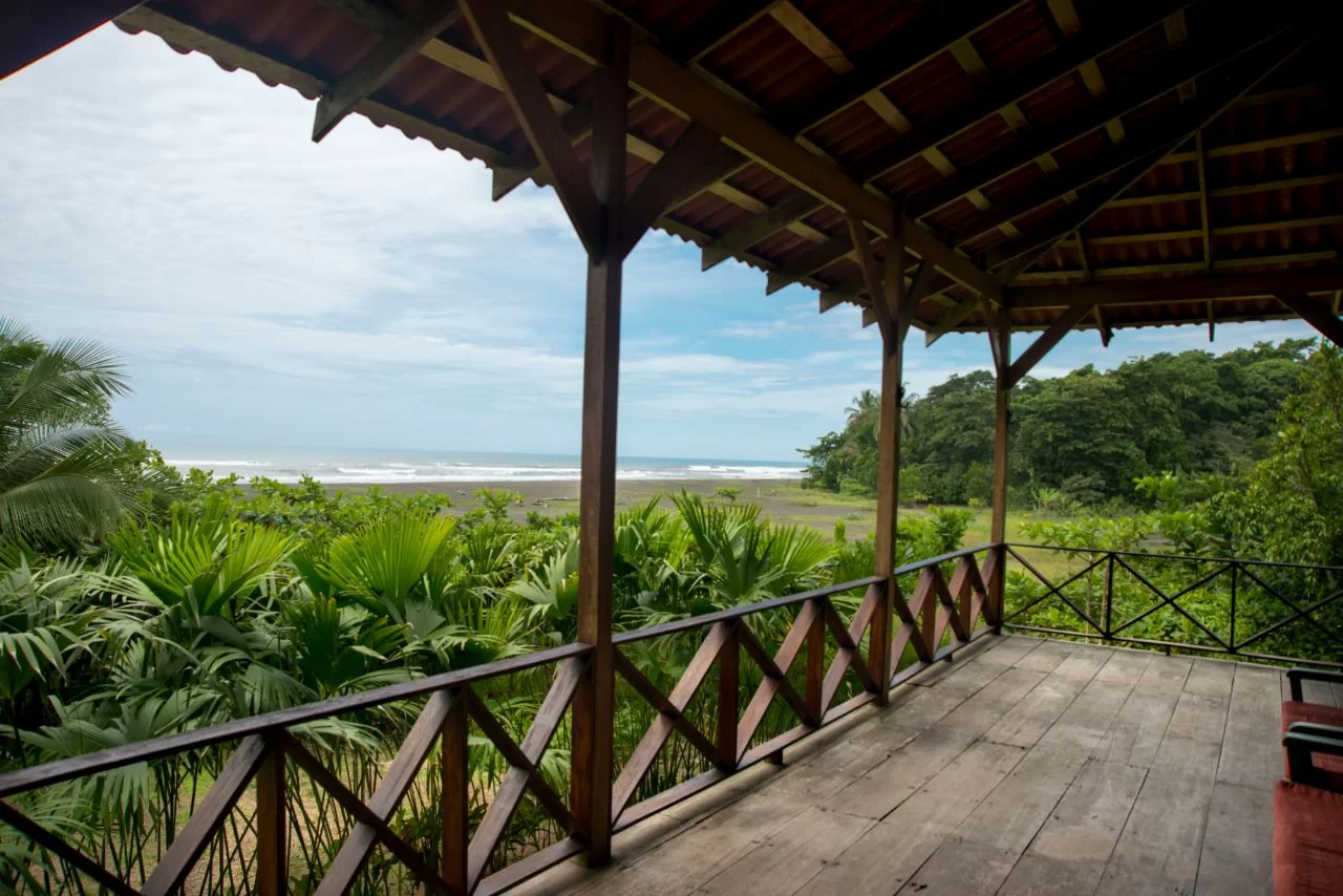 learn-spanish-and-rescue-turtles-in-turrialba-costa-rica-explornatura