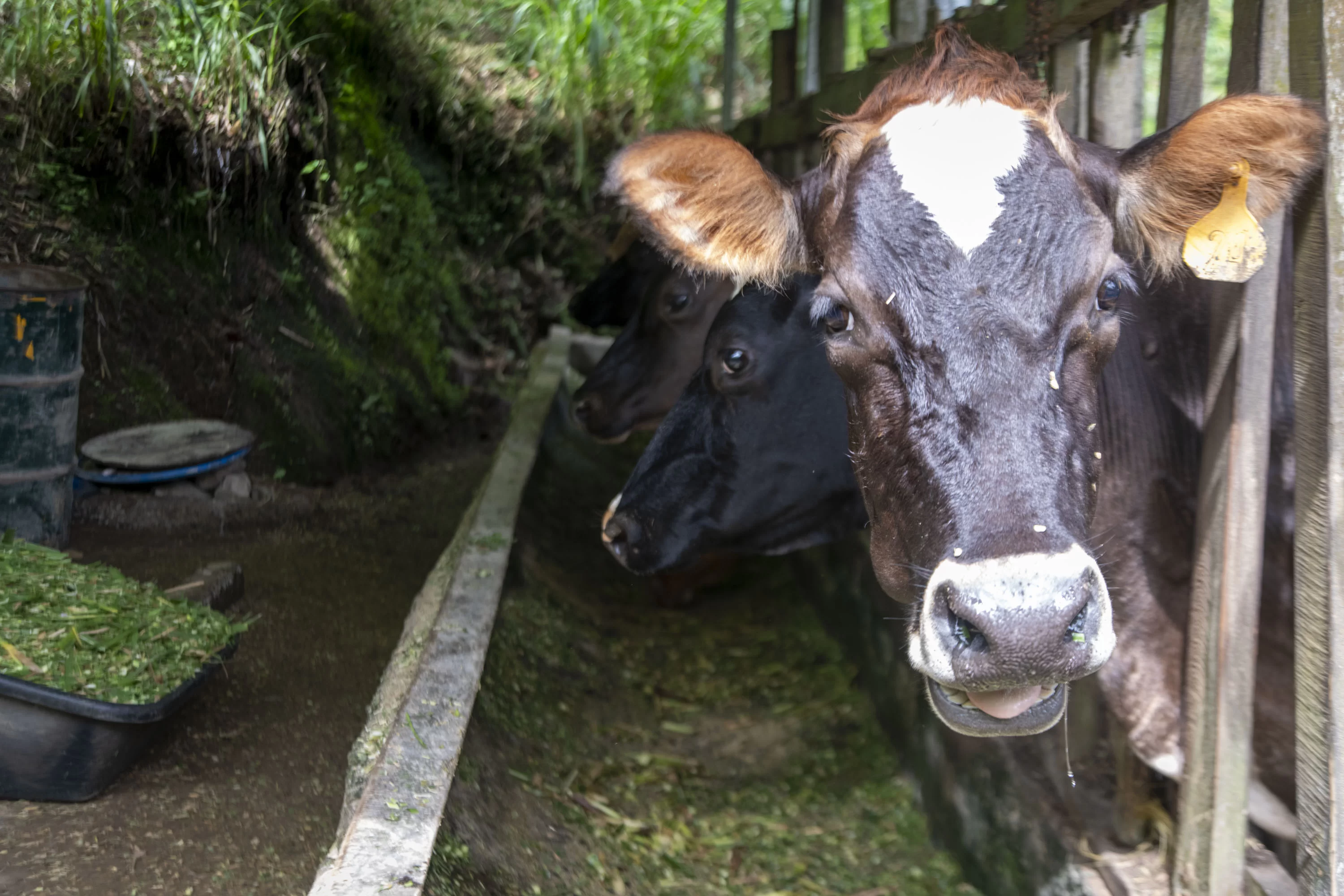 rural-tourism-experience-in-costa-rica-explornatura