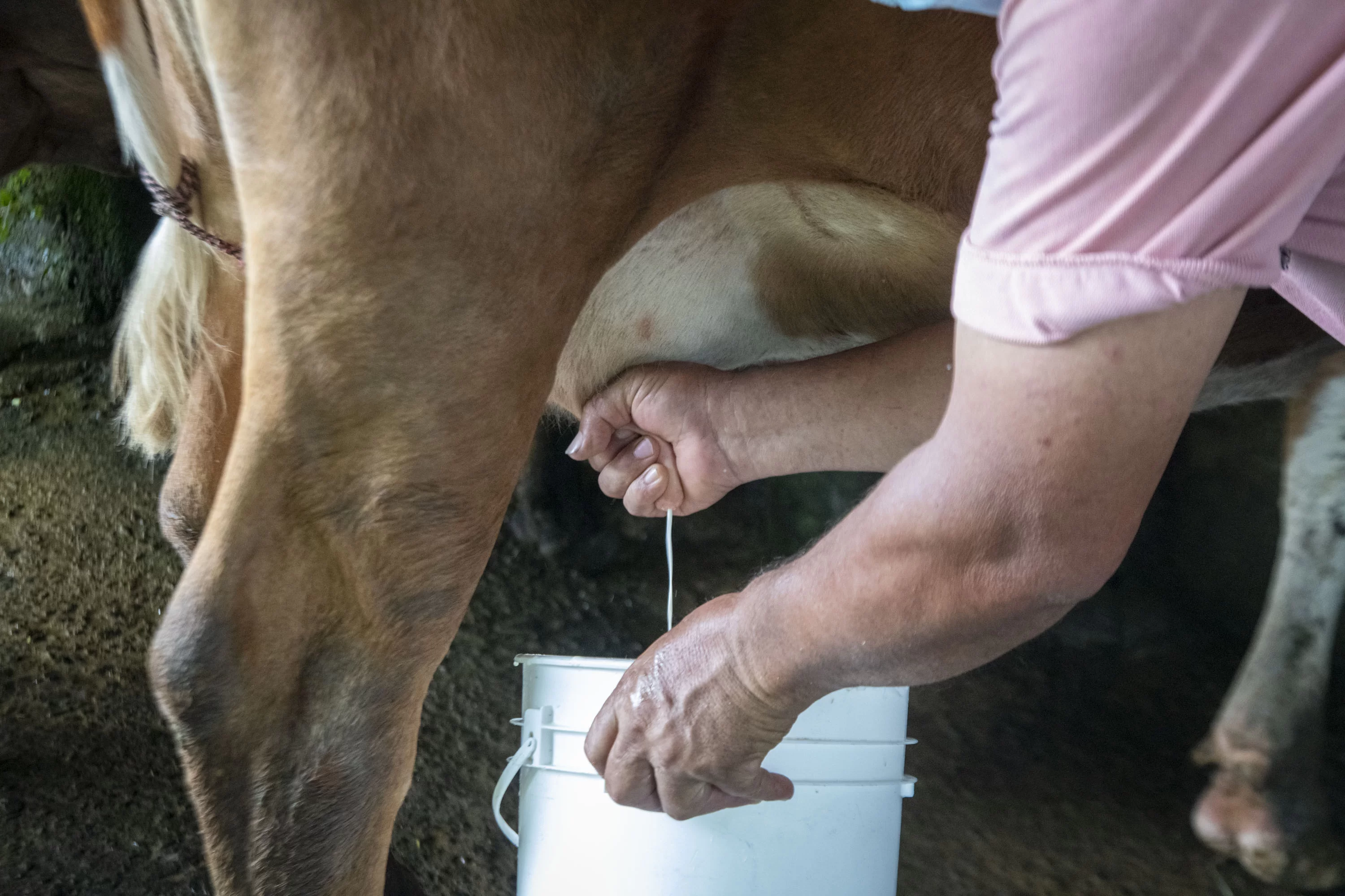 rural-tourism-experience-in-costa-rica-explornatura