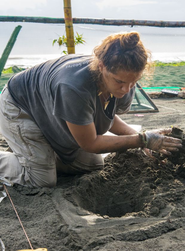learn-spanish-and-rescue-turtles-in-turrialba-costa-rica-explornatura