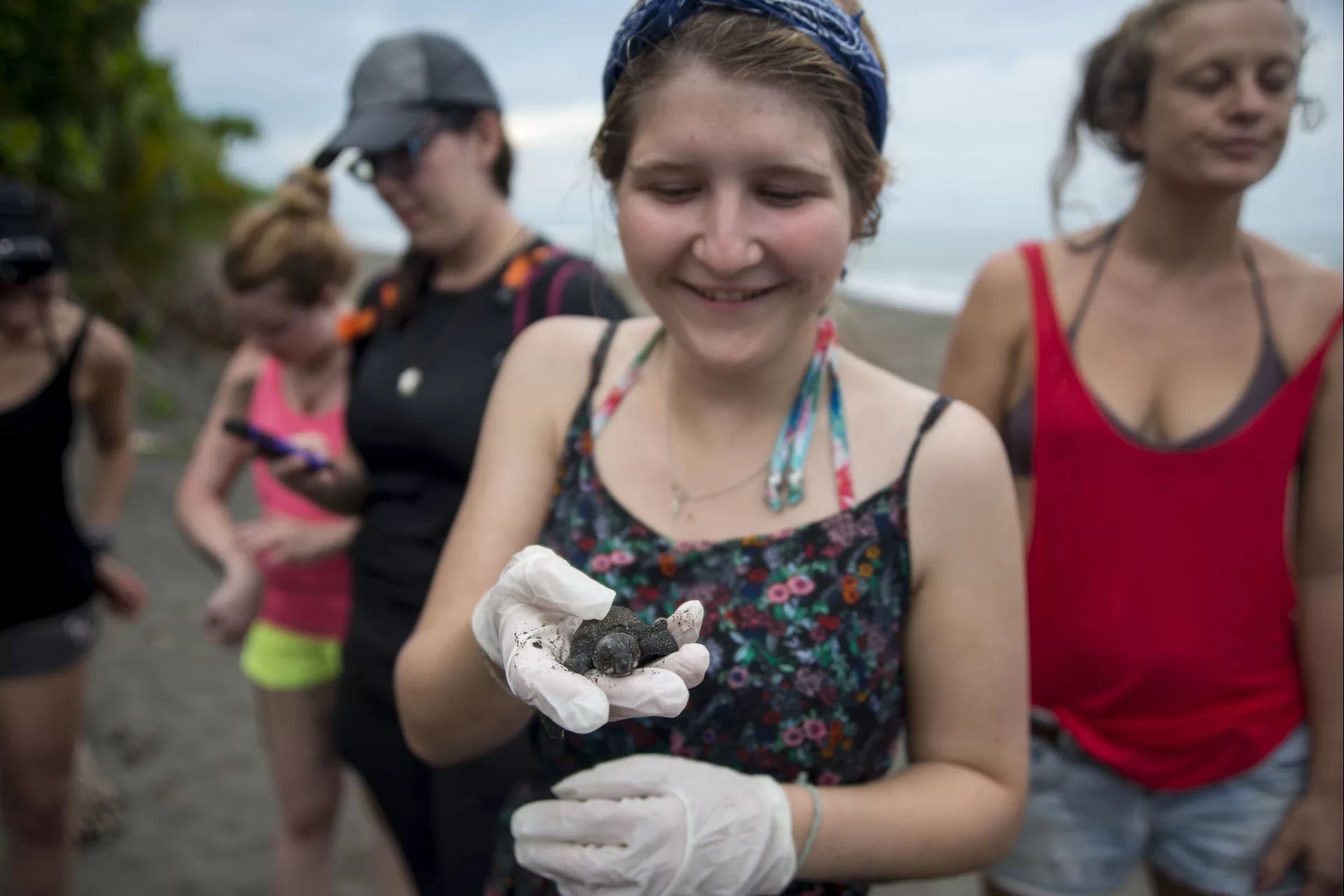 learn-spanish-and-rescue-turtles-in-turrialba-costa-rica-explornatura