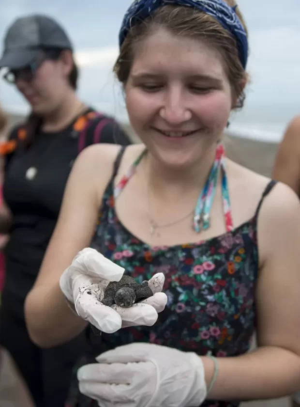 learn-spanish-and-rescue-turtles-in-turrialba-costa-rica-explornatura